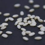玄米を発芽させるメリットとは？発芽玄米の作り方や保存方法を紹介！